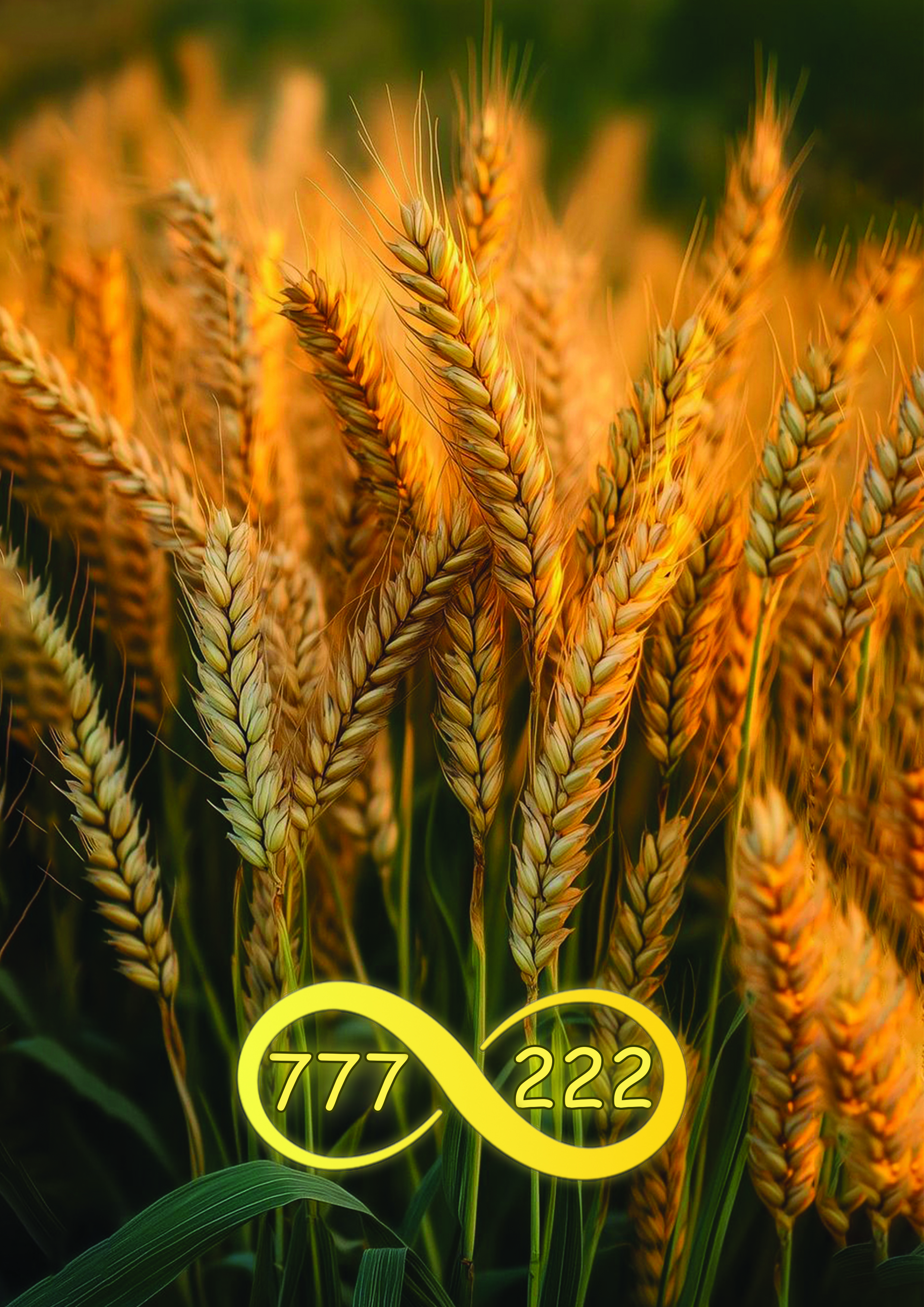 طرح زیبا  - دفتر خط دار سیمی A5